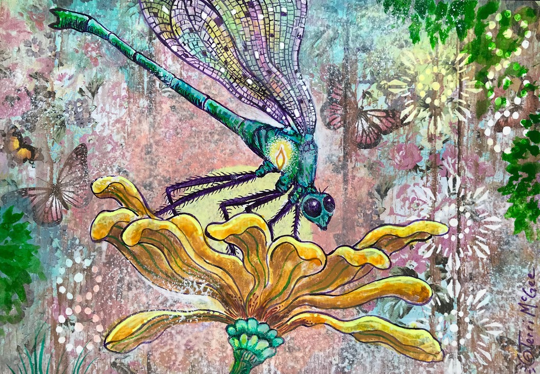 InnerLight Dragonfly5 5x7 paper web